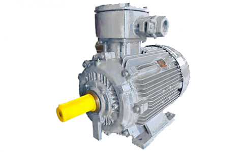 Motores a prueba de explosiones IE5/GB1