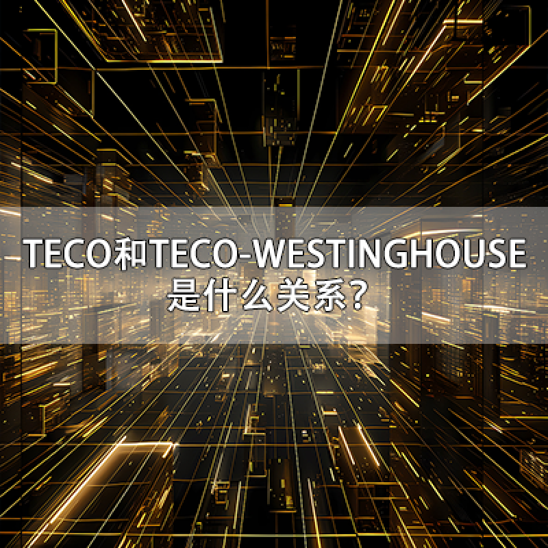 臺(tái)灣東元電機(jī)（TECO）和美國(guó)西屋電機(jī)（TECO-WESTINGHOUSE）是什么關(guān)系
